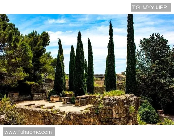 探索埃斯特旺的魅力与历史，揭开这座城市的文化面纱与独特风情