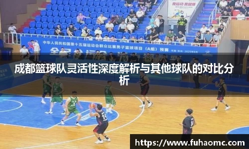 成都篮球队灵活性深度解析与其他球队的对比分析